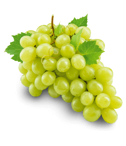 Fresh Green Seedless grape fruits