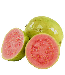 Fresh guava fruit