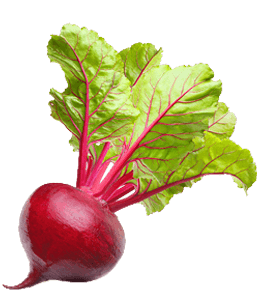 Fresh purple beetroot with leaf for salad