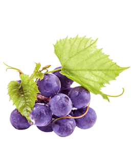 Fresh Wine berries with green leaf