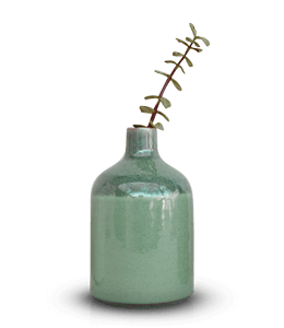Glass jar or vase for planting a plant