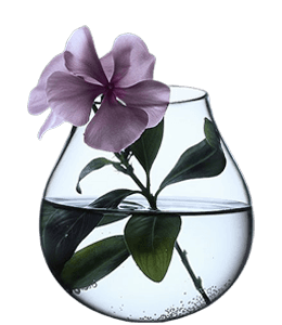 Glass-vase-with-purple-wild-flower