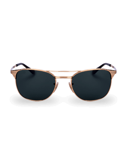 Golden frame sunglasses