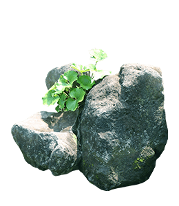 Gray-green rock