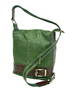 Green college bag