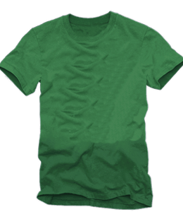 Green color shaded round neck t-shirt