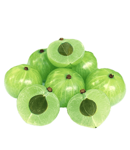 Green sour plum
