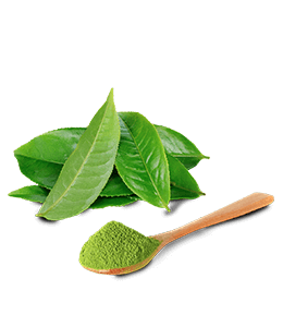 Green tea leaves powder