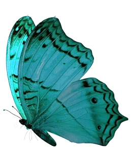 Green watercolor garden butterfly