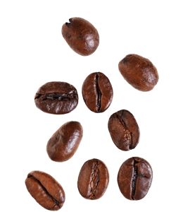 Highest quality Combodian coffee beans