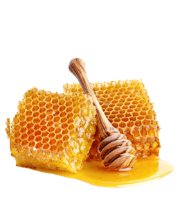 Honeycomb With Wooden Dipper