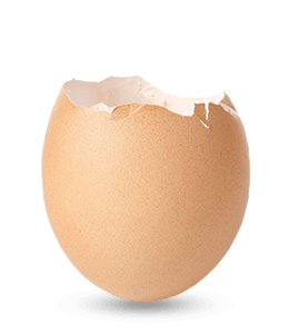 Japanese eggshell
