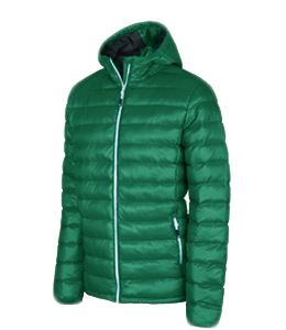 Trapper Green color hex code is #005239