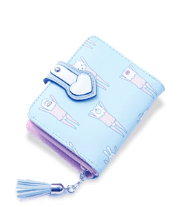 Light blue colored small wallet for girls