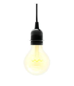 Light bulb with holder