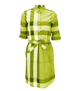 Light green color burberry print dress