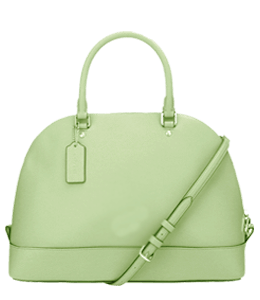 Light green color ladies handbag