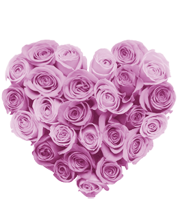 Lovely heart shape pink rose bokeh