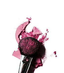 Makeup Blush and brush
