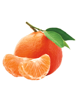 Mandarin orange fruit