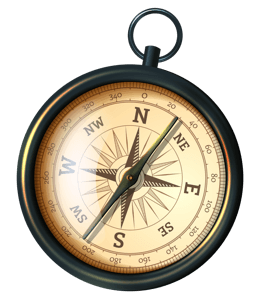 Marine compass for ships