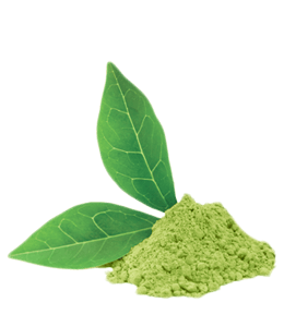Matcha tea powder with leaf