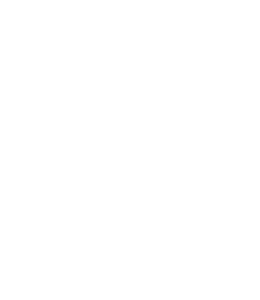 Indian mehndi design