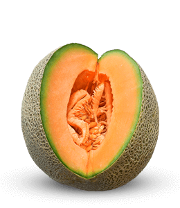 Melon Fruit