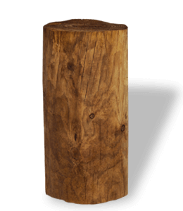 Oak wood log