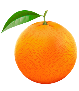 Orange fruit