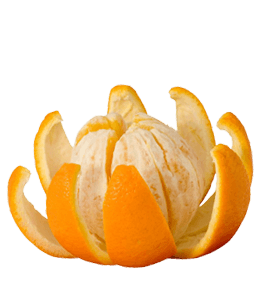 Orange slice with orange peel