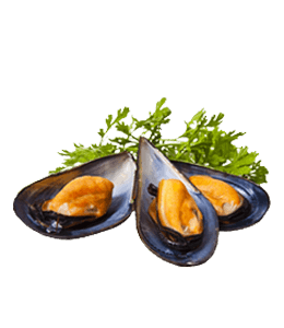 Oysters mussels
