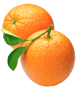 Pair of Oranges
