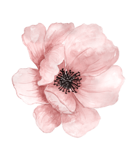 Watercolor of pale pink wild roses