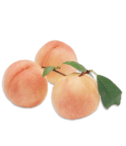 Peach fruit