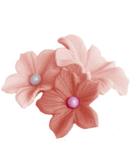 Pink color cream flower