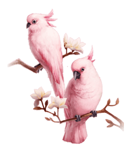 Pink parrot painting