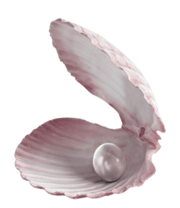 Pink pearl in shell