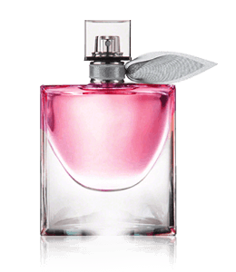 Pink perfume bottle for ladies