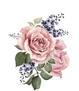 Pink watercolor rose flower