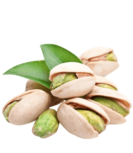 Pistachio nut seeds