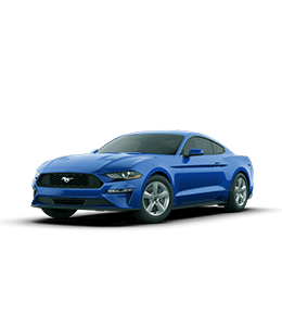 Premium Mustang Car