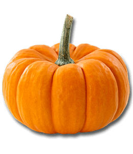 Pumpkin for halloween