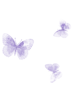 Purple butterfly wallpaper