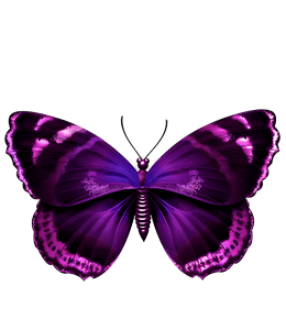 Purple colored butterfly