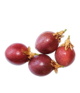 Red kokum fruit
