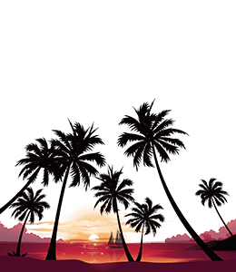 Seaside sunset art