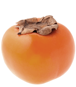 Single ripe persimmon
