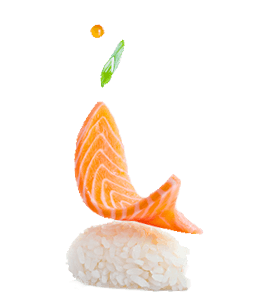 Slice of fish with rice