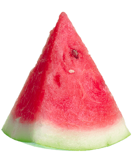 Slice of summer fruit Watermelon